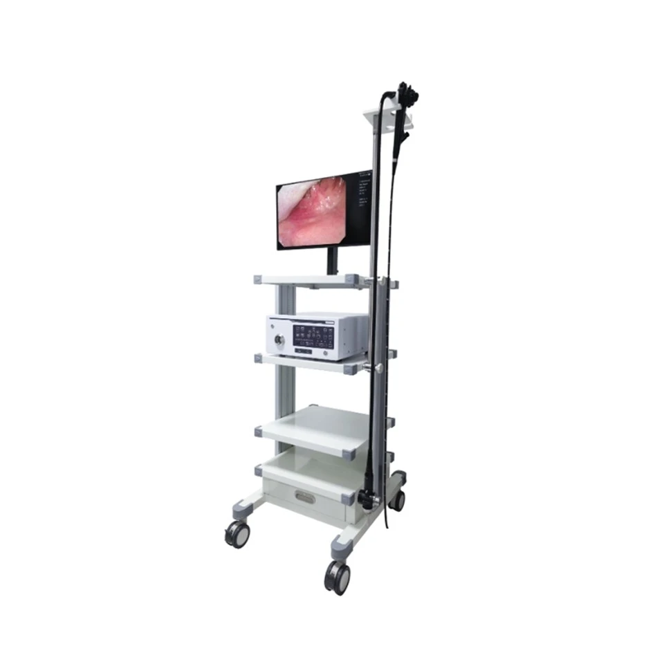 Veterinary Endoscopy Equipment